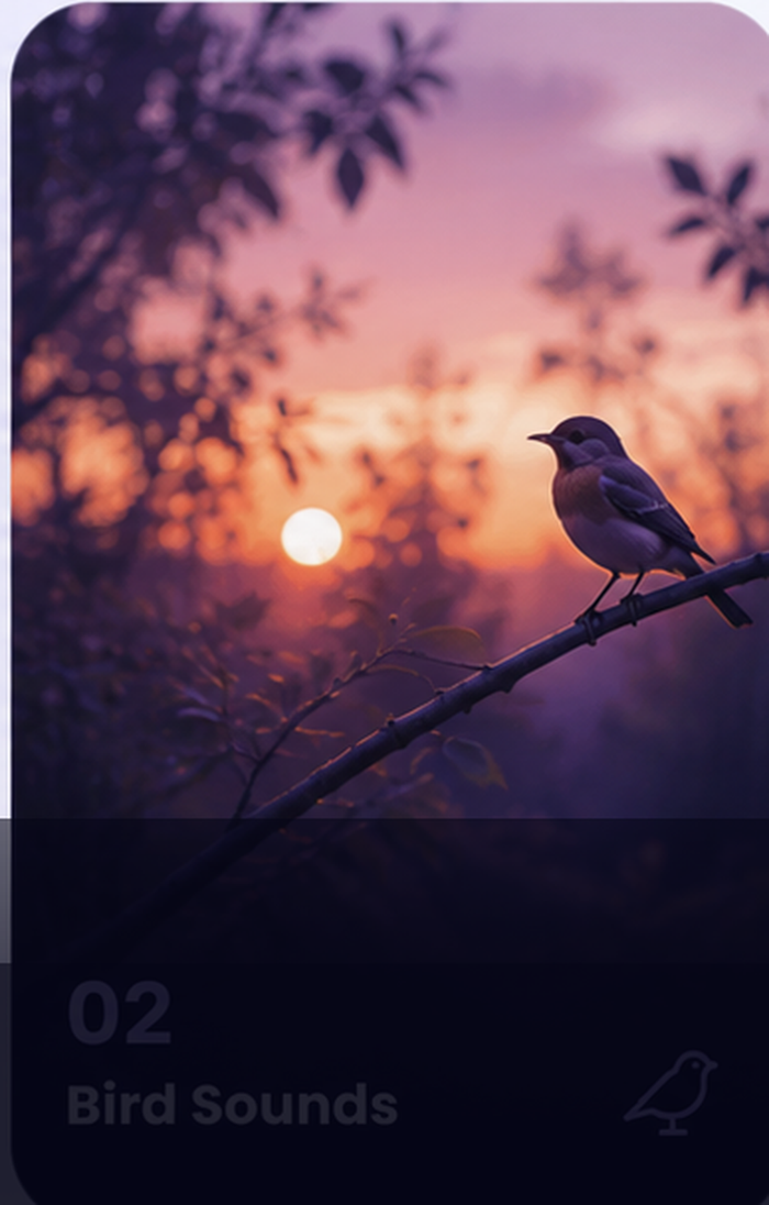 Bird sounds mode